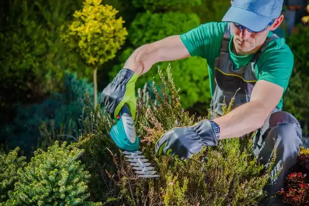 landscaping services Sheldon